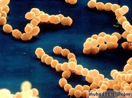 Bone infection