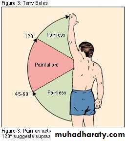 Upper Limb Orthopedic