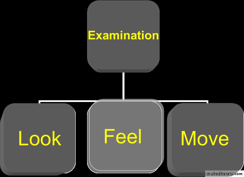 Diagnosis in Orthopedics