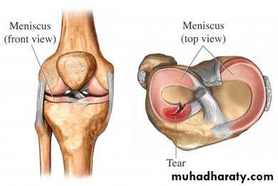 Diagnosis in Orthopedics