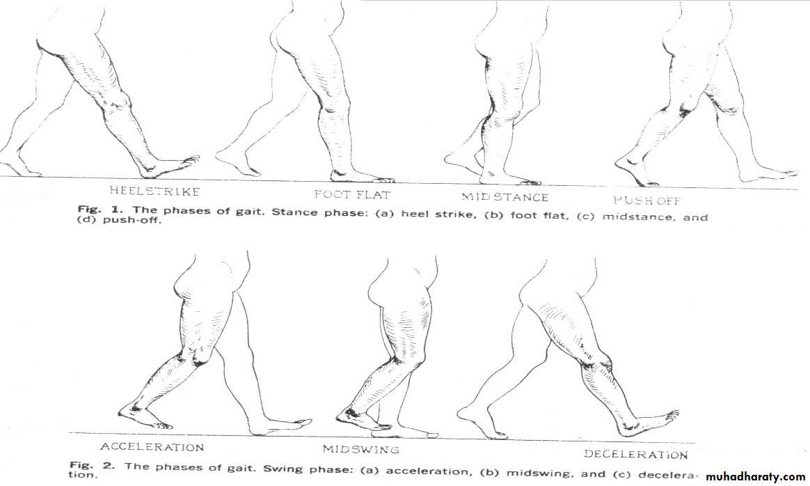 Diagnosis in Orthopedics