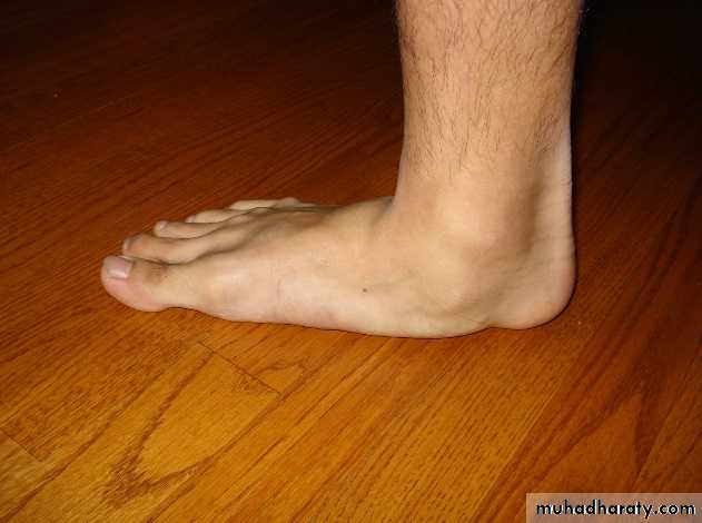 Diagnosis in Orthopedics