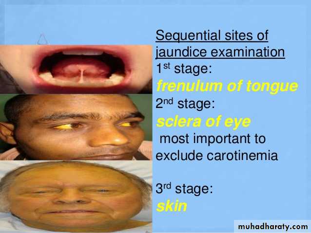 general examination عملي