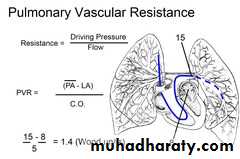 VENTRICULAR SEPTAL DEFECT