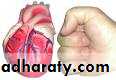 Physiology
