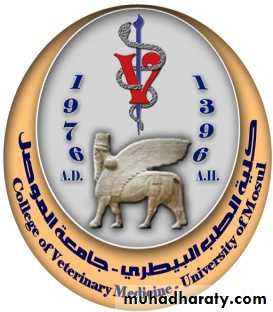 General surgery