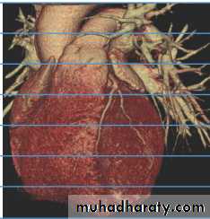 Introduction to Radiology