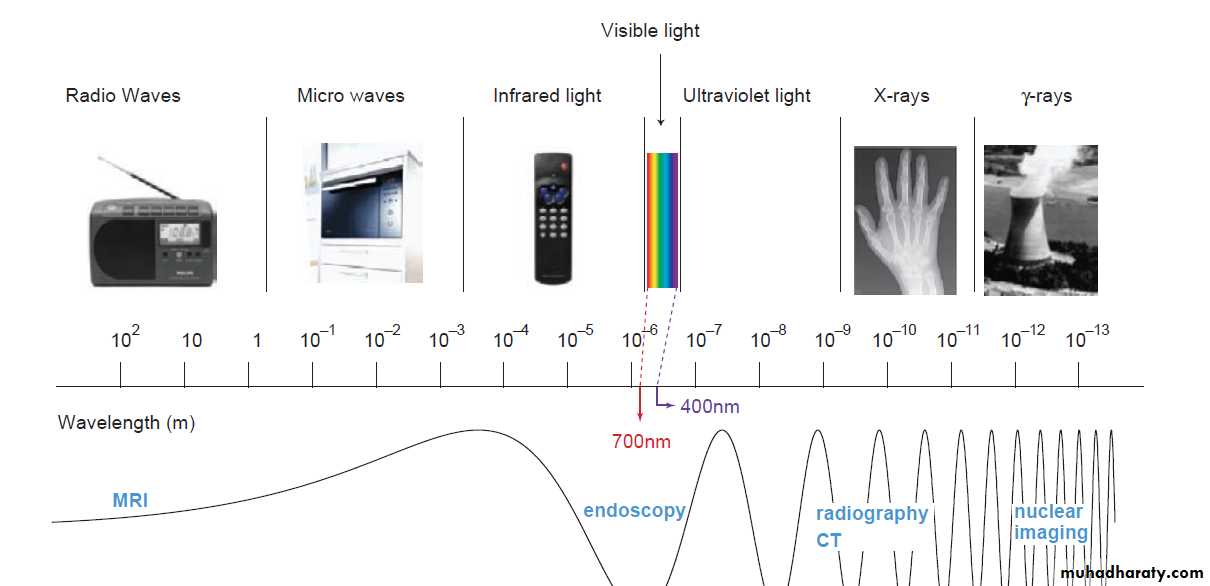 Introduction to Radiology