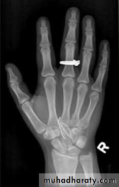 Introduction to Radiology