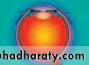 Lectures of Ophthalmology