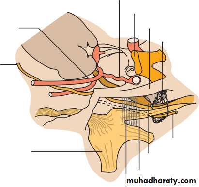 Lectures of Ophthalmology