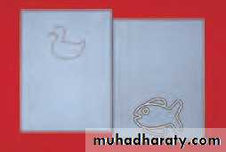 Lectures of Ophthalmology