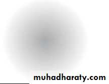 Lectures of Ophthalmology