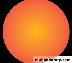 Lectures of Ophthalmology