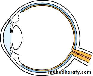Lectures of Ophthalmology