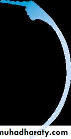 Lectures of Ophthalmology