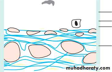 Lectures of Ophthalmology