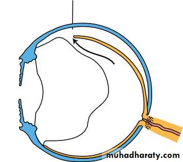 Lectures of Ophthalmology