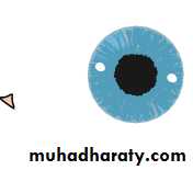 Lectures of Ophthalmology