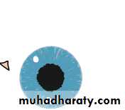 Lectures of Ophthalmology