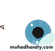 Lectures of Ophthalmology