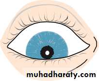 Lectures of Ophthalmology