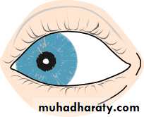 Lectures of Ophthalmology