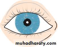 Lectures of Ophthalmology