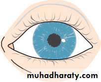 Lectures of Ophthalmology
