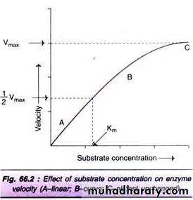 enzymes