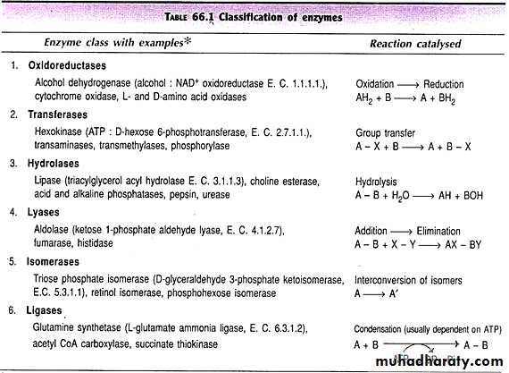 enzymes