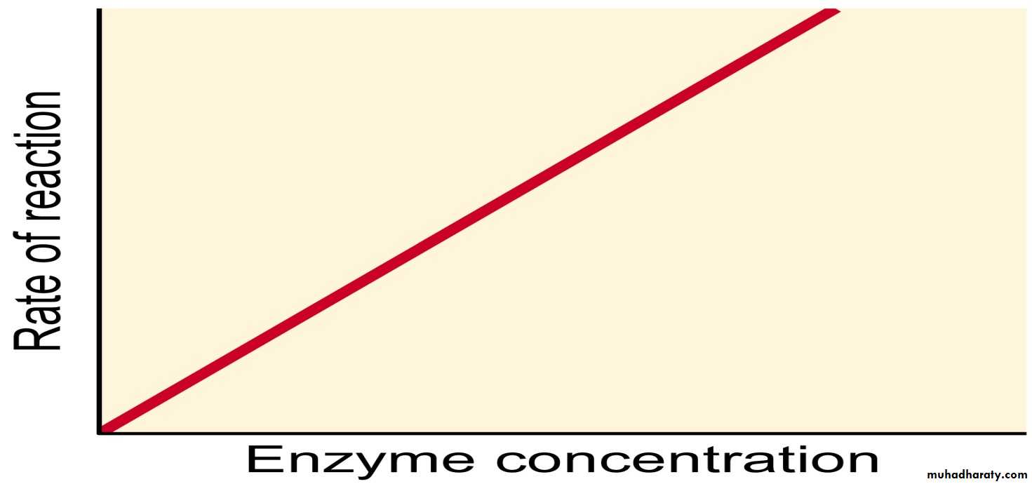 enzymes