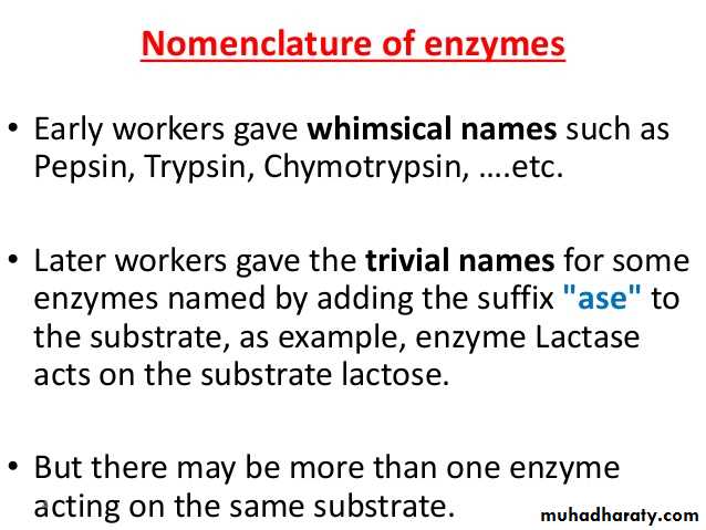 enzymes