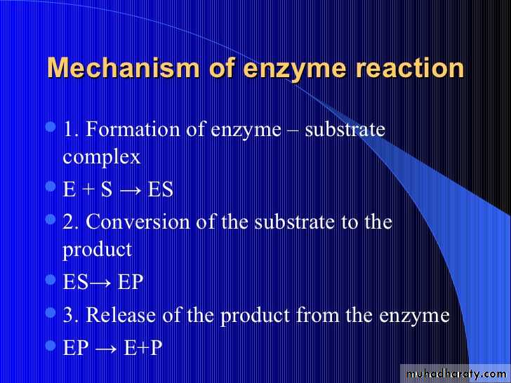enzymes