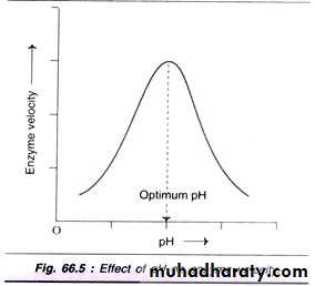 enzymes