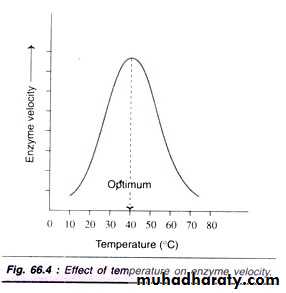 enzymes