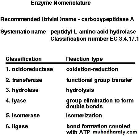 enzymes