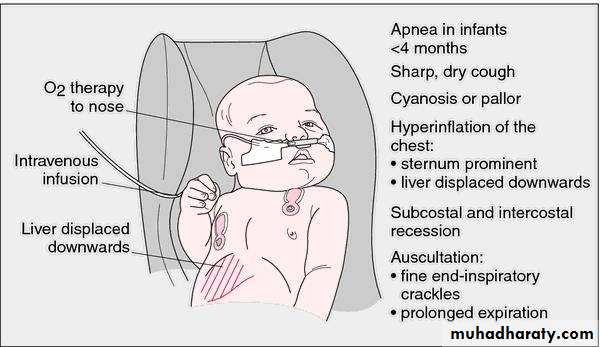 Respiratory system