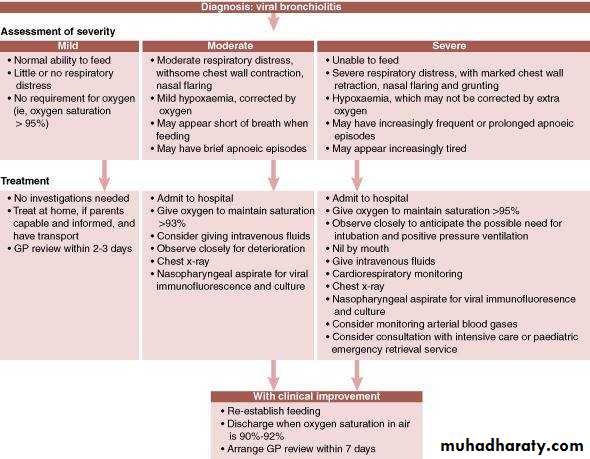 Respiratory system