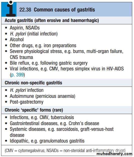 stomach and duodenum