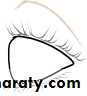 Ophthalmology Lecture Notes