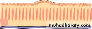 Ophthalmology Lecture Notes