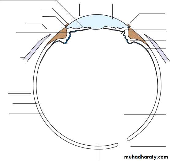 Ophthalmology Lecture Notes