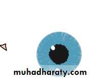 Ophthalmology Lecture Notes