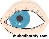 Ophthalmology Lecture Notes