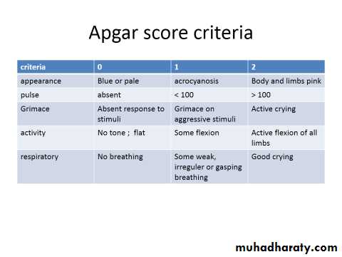 Neonatal examination