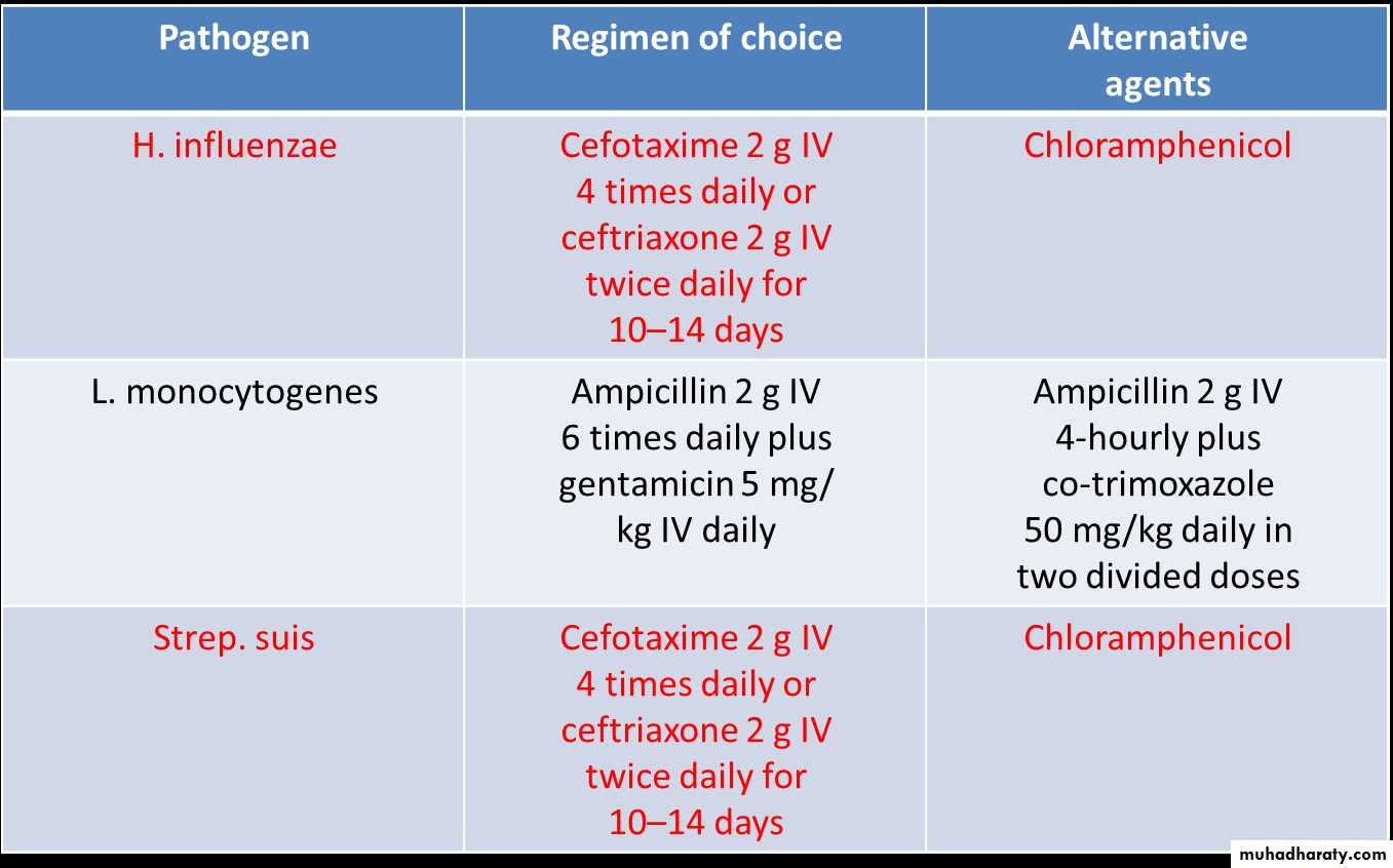 CNS INFECTIONS
