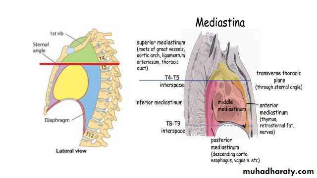 Chest Imaging