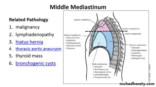 Chest Imaging