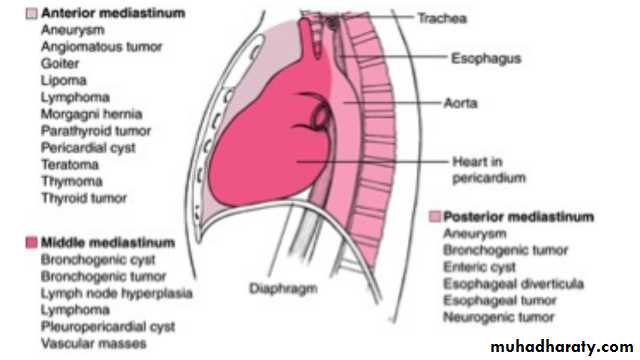 Chest Imaging